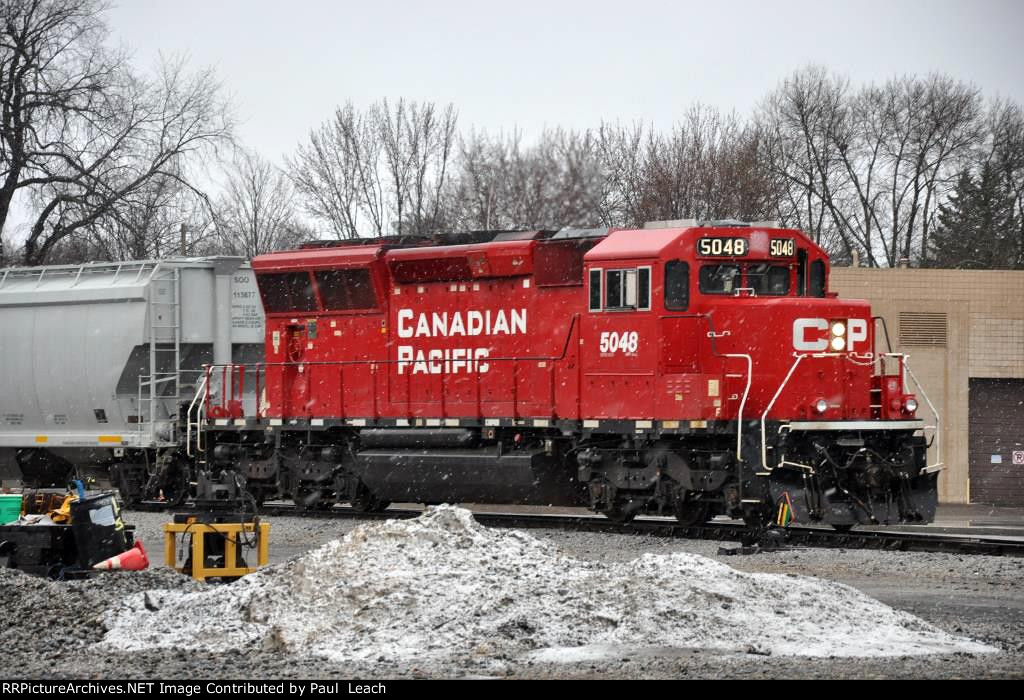 Local eases through the yard